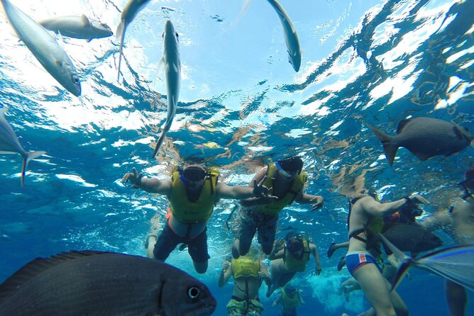 Catamaran Snorkeling to El Cielo and The Money Bar Beach Club - Who should book this Cozumel outing