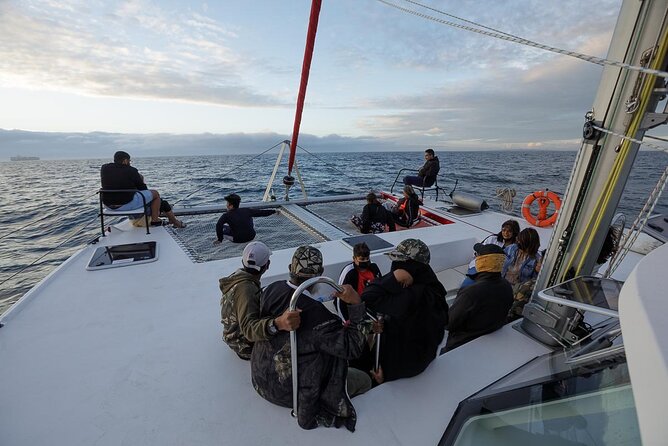Catamaran Sunset Champagne Cruise Cape Town - Marine life is possible, but never guaranteed
