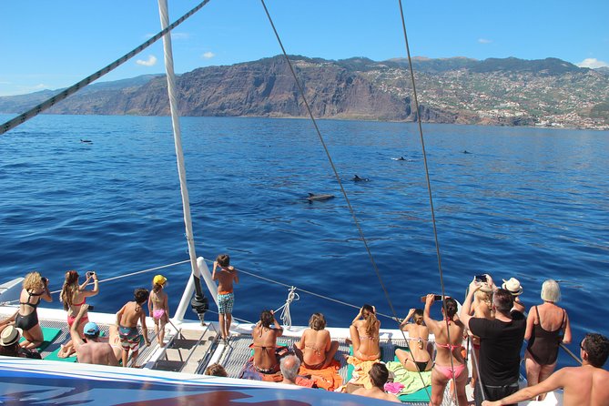 Catamaran Sunset Cruise from Funchal - Who will enjoy this cruise most