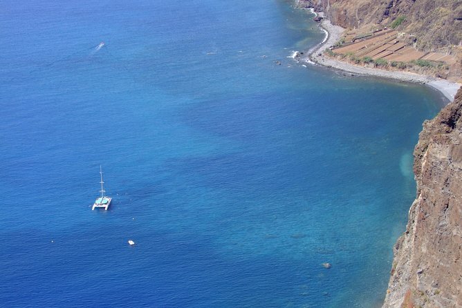Catamaran Sunset Cruise from Funchal - The wildlife search is exciting, but never certain