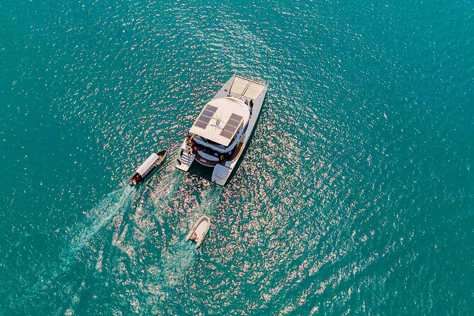Catamaran Sunset Cruise in Stone Town - A closer look at the crew and service