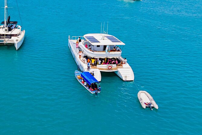 Catamaran Sunset Cruise in Stone Town - Who should book this experience?