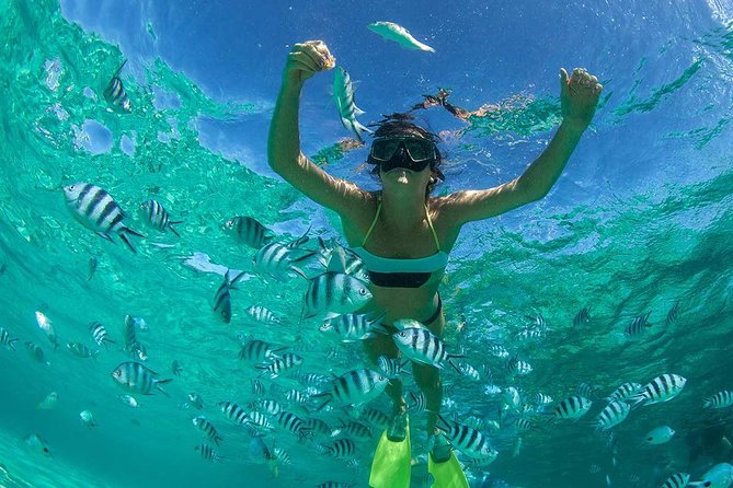 Catamaran to Ile aux Cerf with Parasailing, Tube Riding & Lunch - From your hotel to Trou d’Eau Douce