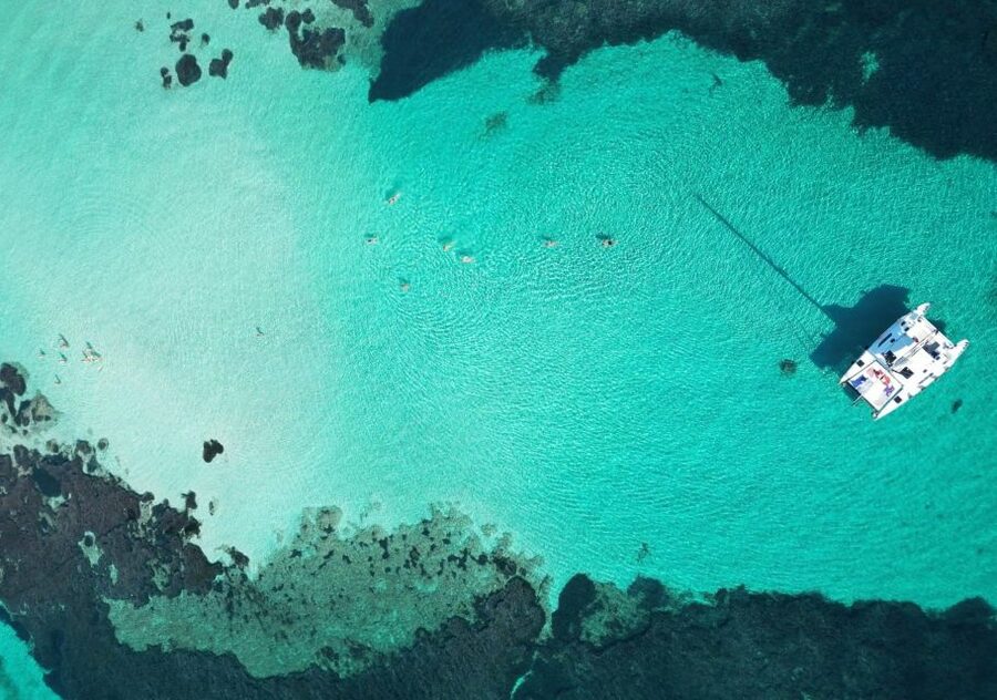 Catamaran tour Asinara island national park Buriana Charter - Key points to know before booking