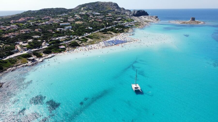 Catamaran tour Asinara island national park Buriana Charter - Watching for dolphins and other marine life