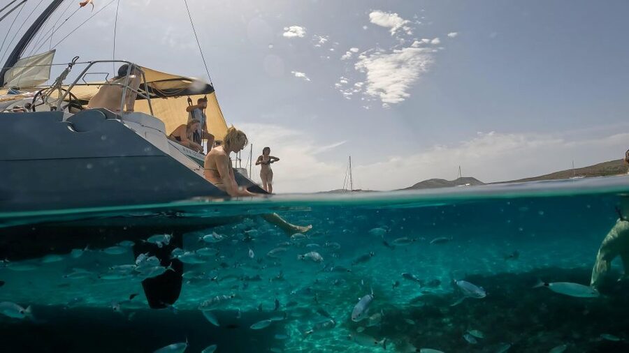 Catamaran tour Asinara island national park Buriana Charter - Who will enjoy the Aqua catamaran most