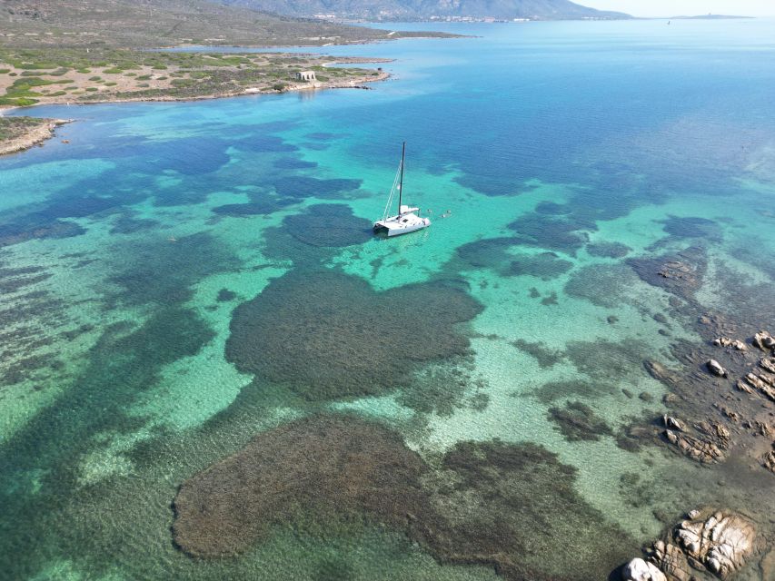 Catamaran tour Asinara island national park Buriana Charter - Eight hours around Asinara National Park