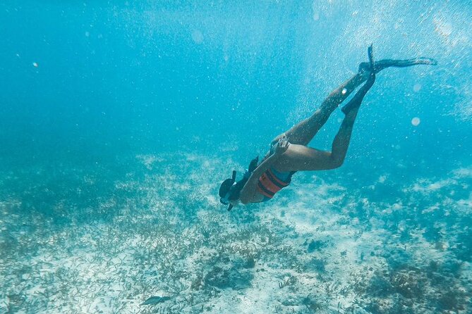 Catamaran Tour to Isla Mujeres Cancun - One hour to explore Isla Mujeres town