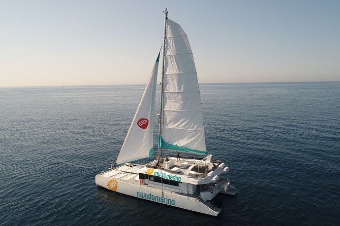 Catamaran tour with swimming stop in Malaga - A quick swim on Malaga Bay