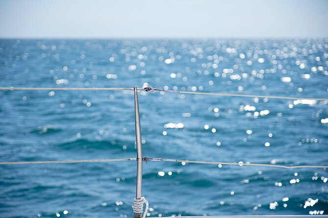 Catamaran tour with swimming stop in Malaga - Value at $21.29 per person