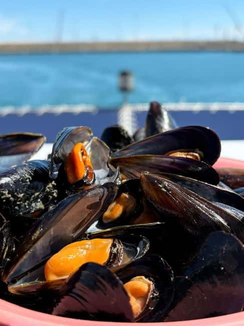 Catamaran trip and visit to the mussel nurseries with a snack - The first 20 minutes on the catamaran