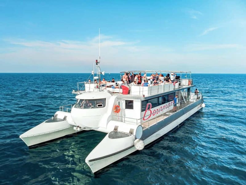 Catamaran trip and visit to the mussel nurseries with a snack - Who will enjoy this Boramar outing most