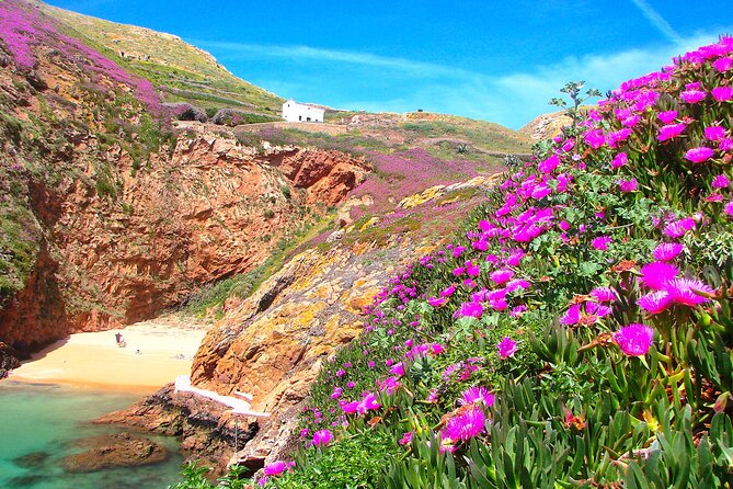 Catamaran trip to Berlengas Island + visit to the caves - Your limited time on Berlenga Island