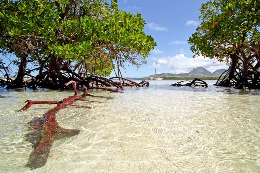 Catamaran Trip to Ile au Cerfs with Lunch and GRSE waterfall - Music, conversation, and the feel onboard