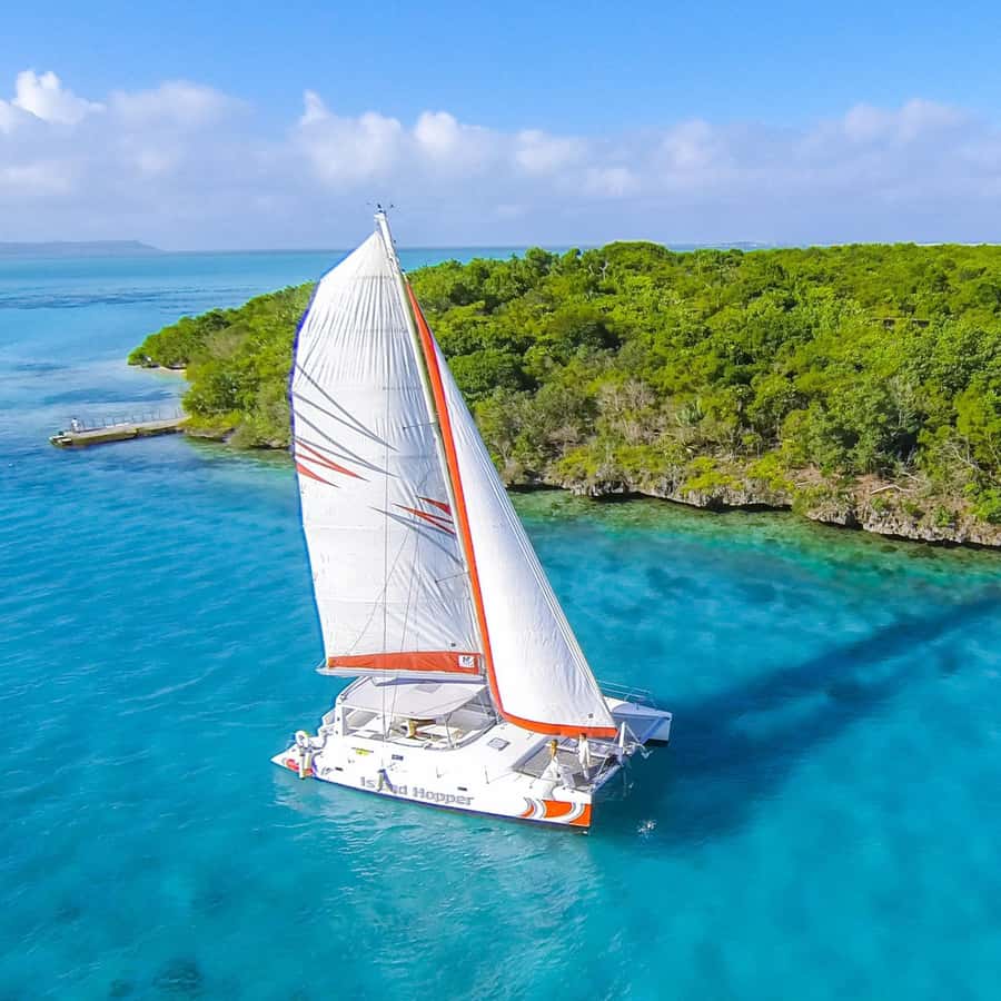 Catamaran trip to Ile Aux Cerfs With Two Way Transportation - Should you book this Île aux Cerfs catamaran trip?