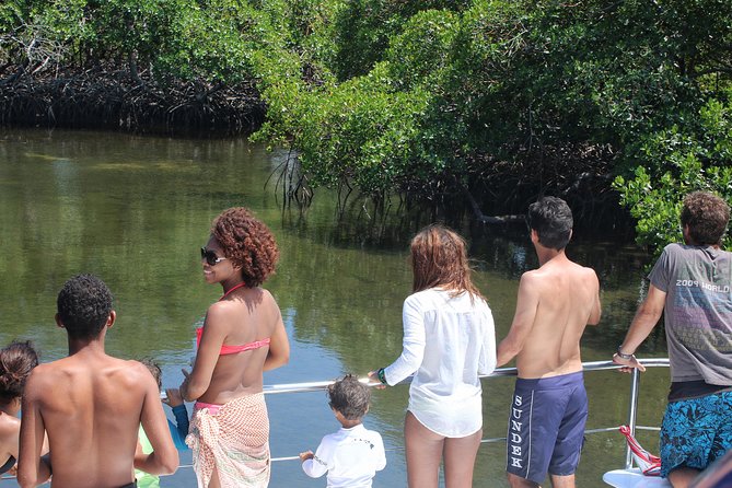 Cayo Arena Catamaran Cruise from Puerto Plata with Lunch - Snorkeling over the reef