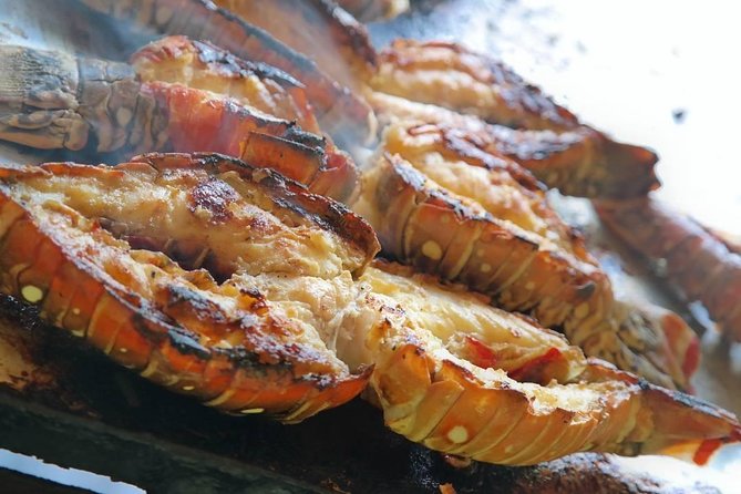 Cayo Arena Catamaran Cruise from Puerto Plata with Lunch - Who will enjoy this day most?