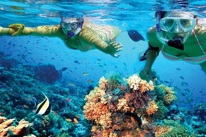 Chichen Itza Early Access & Catamaran to Isla Mujeres - Is the $65 price a good value?