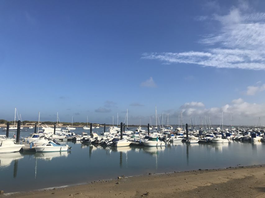 Chiclana de la Fra: Coast of Sancti Petri Catamaran Tour - Passing the 13th-century castle of Sancti Petri