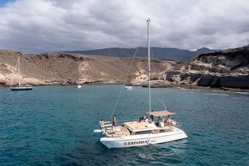 Costa Adeje: Catamaran Tour, Snorkelling, Snacks & Drinks - Looking for dolphins, turtles, and whales