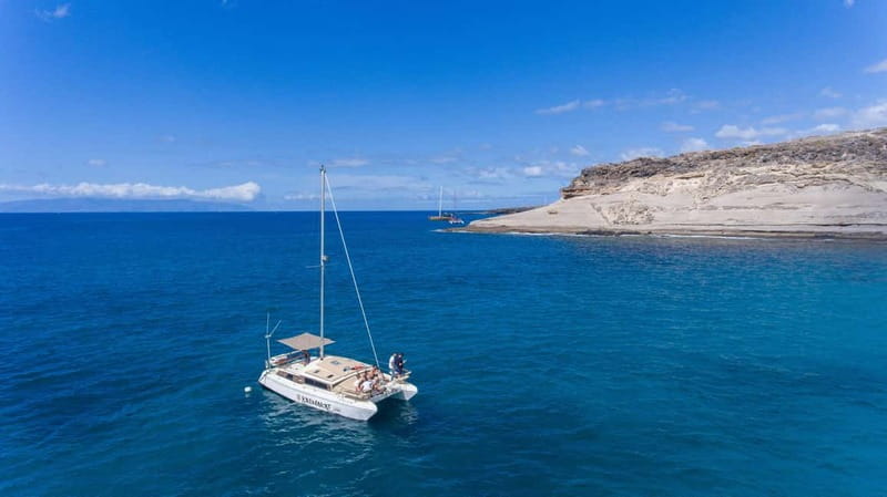 Costa Adeje: Catamaran Tour, Snorkelling, Snacks & Drinks - Who will enjoy this catamaran trip?