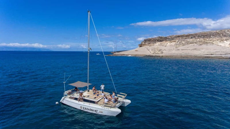 Costa Adeje: Private Catamaran Tour 22 Persons Max - Following Tenerife’s south coast home