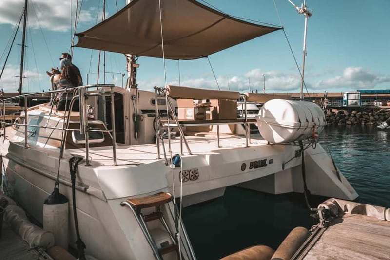 Costa Adeje: Private Catamaran Tour 22 Persons Max - Is $952 good value for your group?