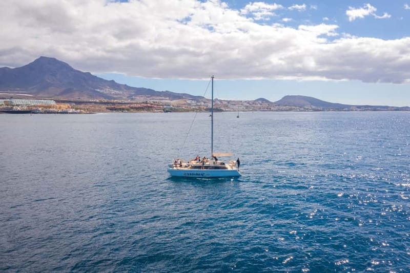 Costa Adeje: Private Catamaran Tour 22 Persons Max - Looking for whales, dolphins, and turtles
