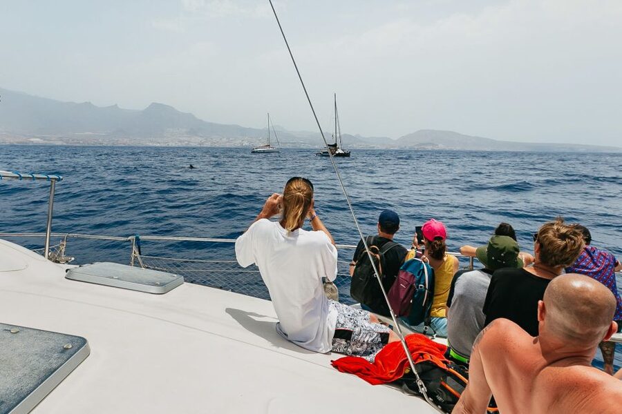 Costa Adeje: Whale Watching Catamaran Tour with Drinks - Should you book the Eden Catamaran?
