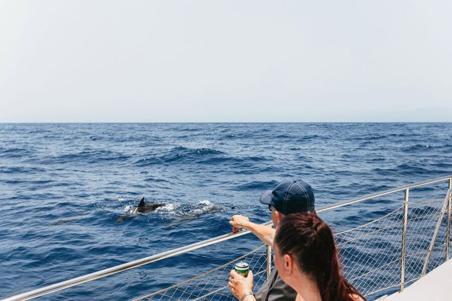 Costa Adeje: Whale Watching Catamaran Tour with Drinks - Setting out from Puerto Colon