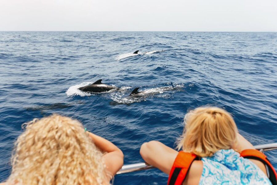 Costa Adeje: Whale Watching Catamaran Tour with Drinks - Dolphins, fish farms, and the chance of a surprise