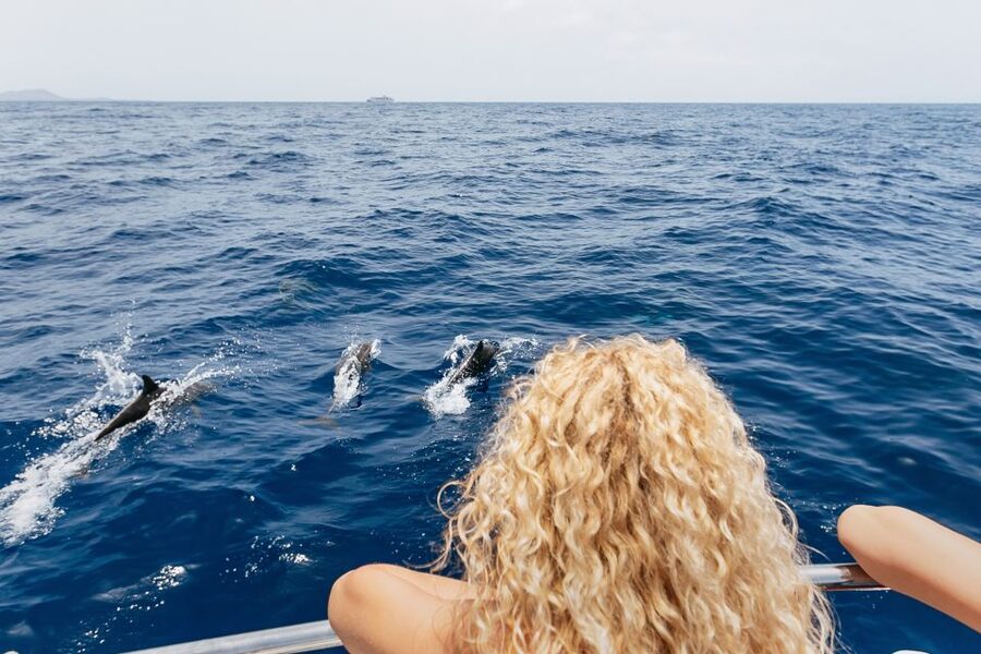 Costa Adeje: Whale Watching Catamaran Tour with Drinks - The value of $41 per person