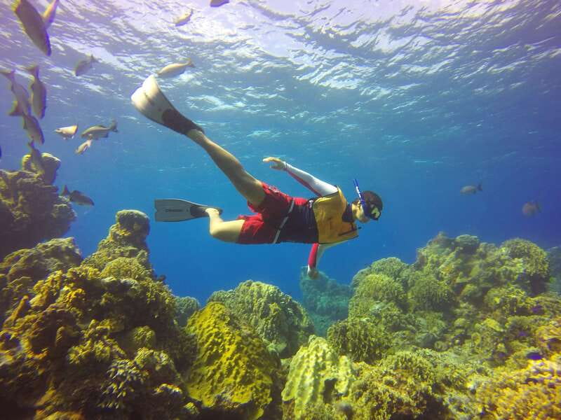 Cozumel: Catamaran, El Cielo Bay & Palancar Reef with Lunch - Palancar Reef Begins the Day Underwater