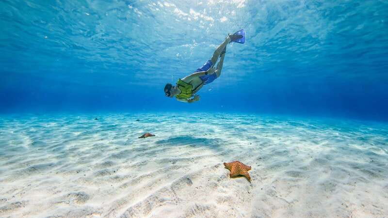 Cozumel: Catamaran, El Cielo Bay & Palancar Reef with Lunch - A Yucatecan Lunch and Cozumel Culture