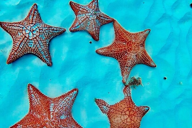 Cozumel Catamaran Fun: Snorkeling, Open Bar & Water Park - What $99 buys you in real terms