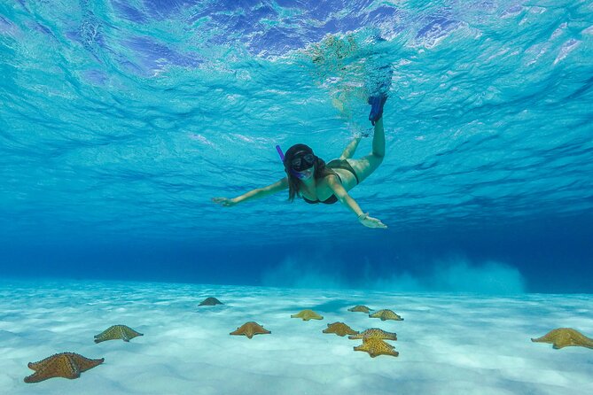 Cozumel Catamaran Snorkel Tour: El Cielo & Palancar with lunch - Key points to know before booking
