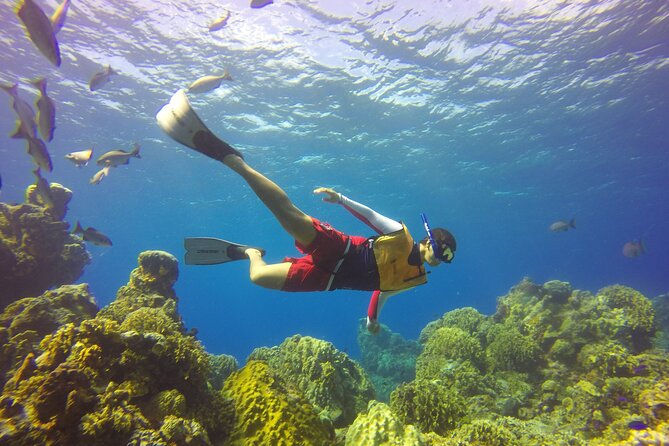 Cozumel Catamaran Snorkel Tour: El Cielo & Palancar with lunch - A six-hour route from Cozumel pier to Palancar Reef