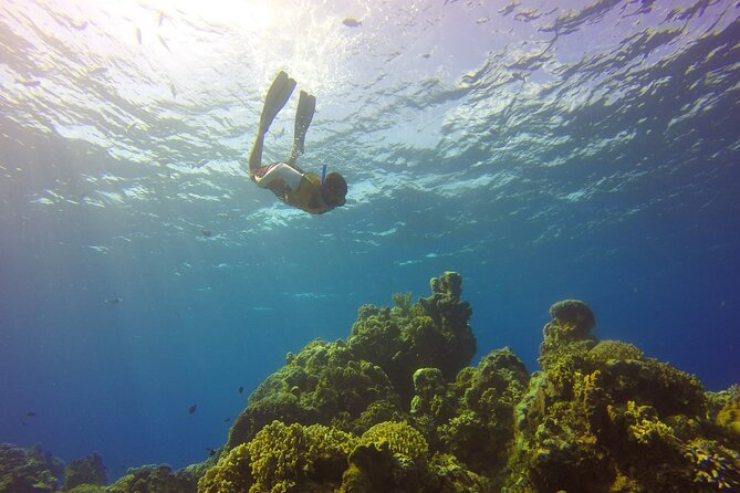 Cozumel Catamaran Snorkel Tour: El Cielo & Palancar with lunch - Playa Mia and lunch add variety to the day