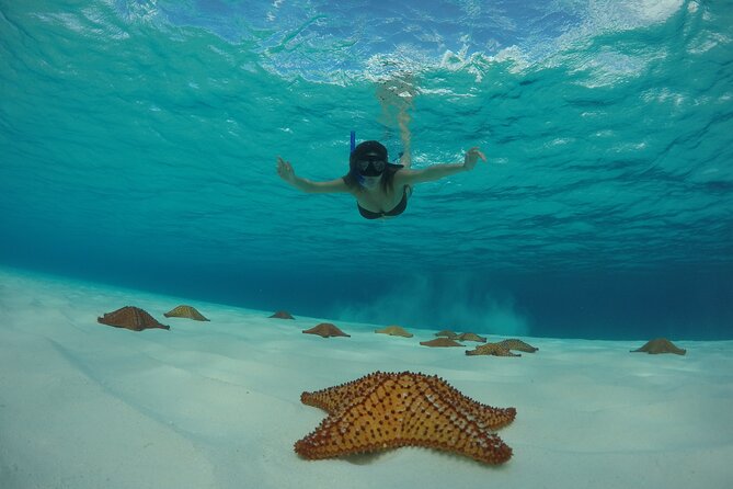 Cozumel Catamaran Snorkel Tour: El Cielo & Palancar with lunch - What the $86 price really covers