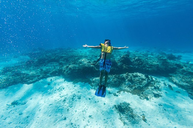 Cozumel Catamaran Snorkeling Tour & lunch - Sailing out from Playa Mia’s downtown pier