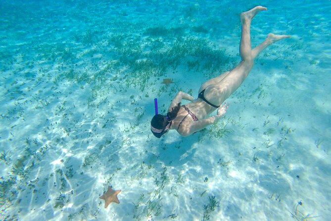 Cozumel Catamaran Snorkeling Tour & lunch - Is $90 a fair price?