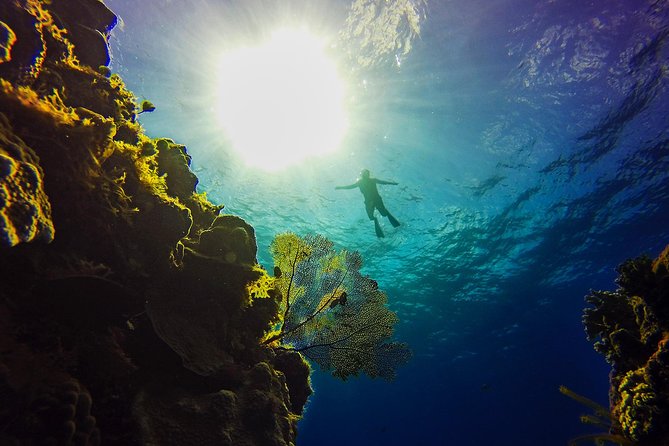 Cozumel Catamaran Snorkeling Tour & Lunch (Hotel Pick Up) - Who should book this Cozumel excursion?