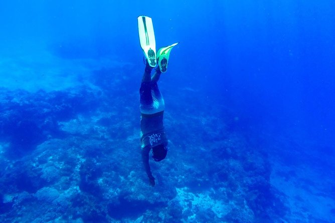 Cozumel Catamaran Snorkeling Tour & Lunch (Hotel Pick Up) - Is $163 a fair price?