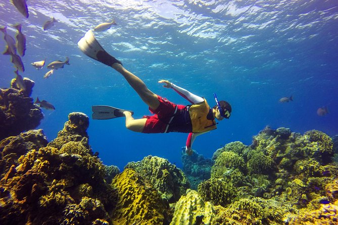 Cozumel Catamaran Snorkeling Tour & Lunch (Hotel Pick Up) - Should you book it?