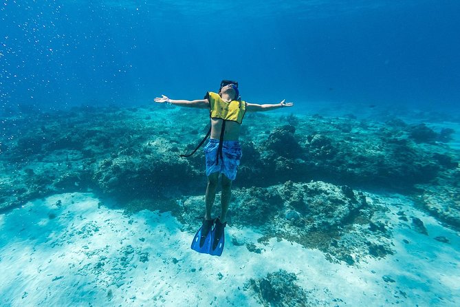 Cozumel Catamaran Snorkeling Tour & Lunch (Hotel Pick Up) - Playa Mia gives the afternoon a family-friendly turn