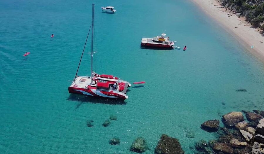 Cruising on a sailing maxi-catamaran - Who will enjoy this day most