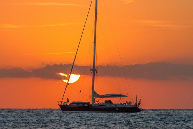 Dakhla Catamaran Tour - Wildlife without false promises