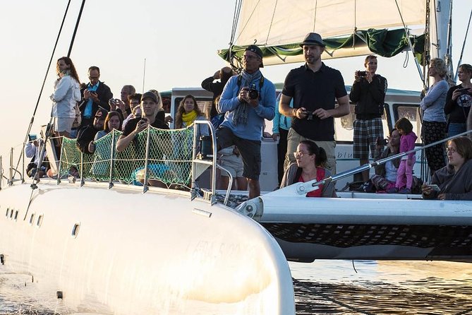 Day Catamaran Trip: Cap des Freus and Llevant Natural Park - What the crew does well, and what it does not promise
