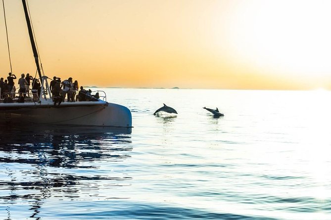 Day Catamaran Trip: Cap des Freus and Llevant Natural Park - Is $90.82 good value?