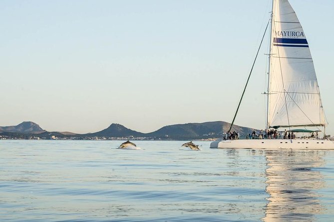 Day Catamaran Trip: Cap des Freus and Llevant Natural Park - Who will enjoy this catamaran trip